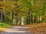 Chalet op Camping Zonneheuvel