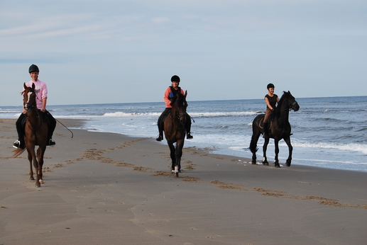 Camping 't Noorder Sandt