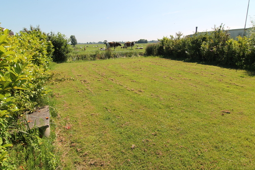 Recreatieoord de Wilgenplas