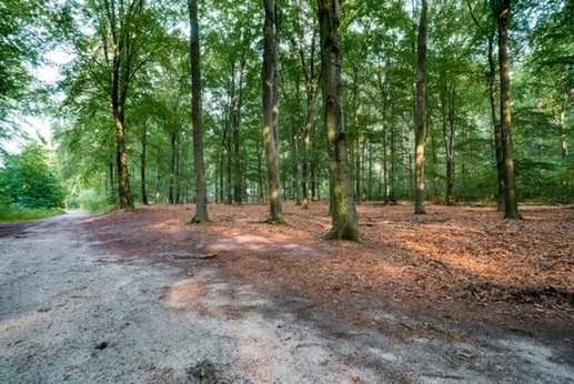 Camping de Blauwe Lantaarn