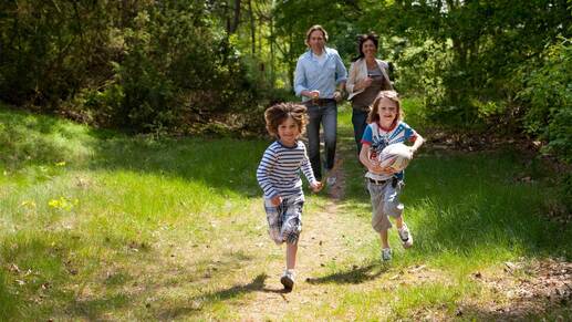 Molecaten Park 't Hout